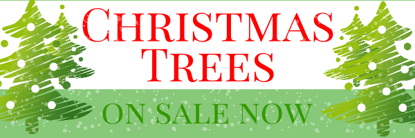 Personalised+%22Christmas+Trees+On+Sale+Here%22+Banner - design template - 78